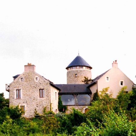 Au Moulin Geant Bed & Breakfast Rochefort-sur-Loire Dış mekan fotoğraf