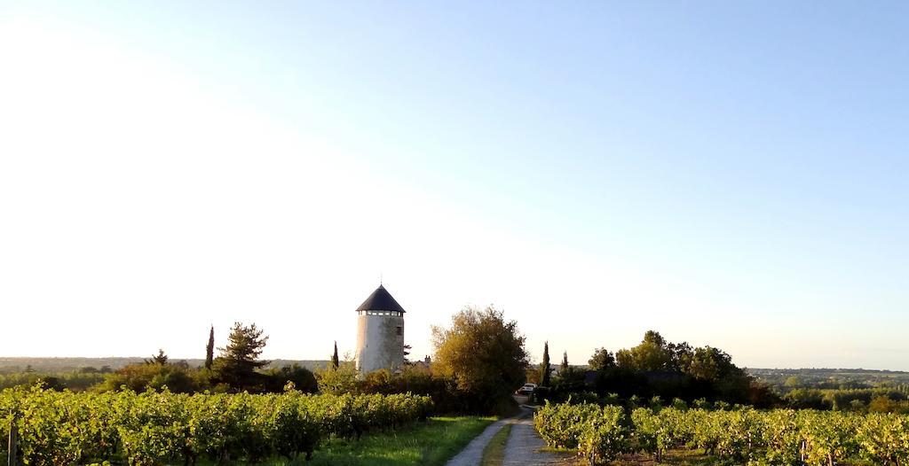 Au Moulin Geant Bed & Breakfast Rochefort-sur-Loire Dış mekan fotoğraf