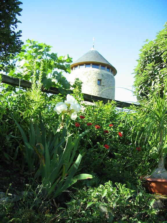 Au Moulin Geant Bed & Breakfast Rochefort-sur-Loire Dış mekan fotoğraf