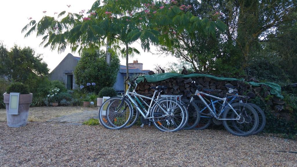 Au Moulin Geant Bed & Breakfast Rochefort-sur-Loire Dış mekan fotoğraf